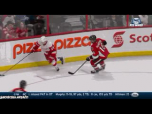 Puck protection