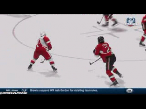 Puck protection